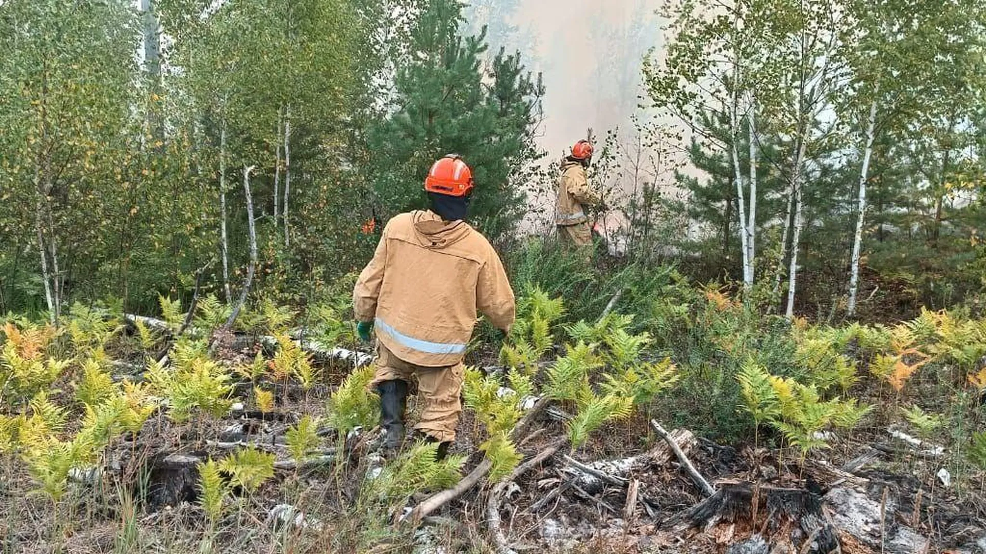 Лесные пожары Рязанской области не переходят на территорию Подмосковья