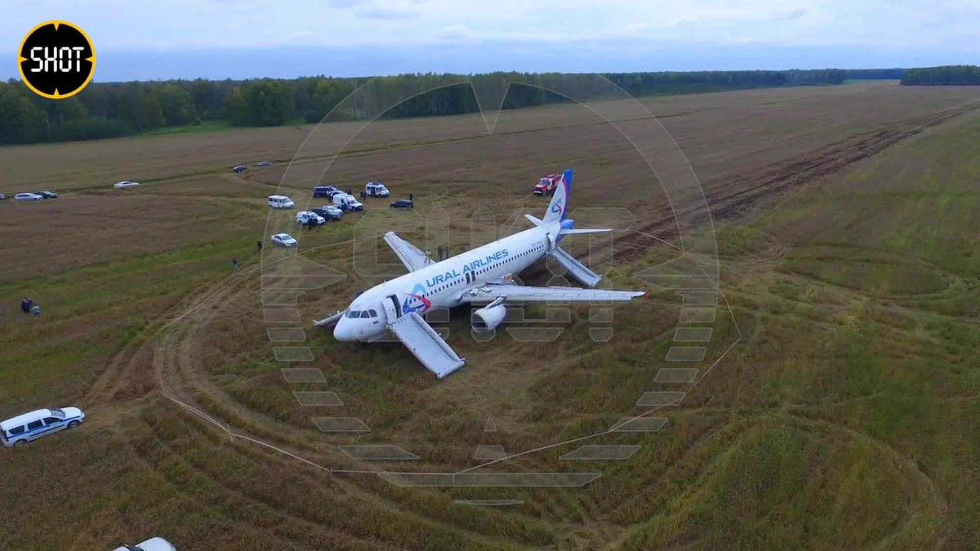 Shot: опубликованы эксклюзивные фото севшего в поле самолета Airbus A320