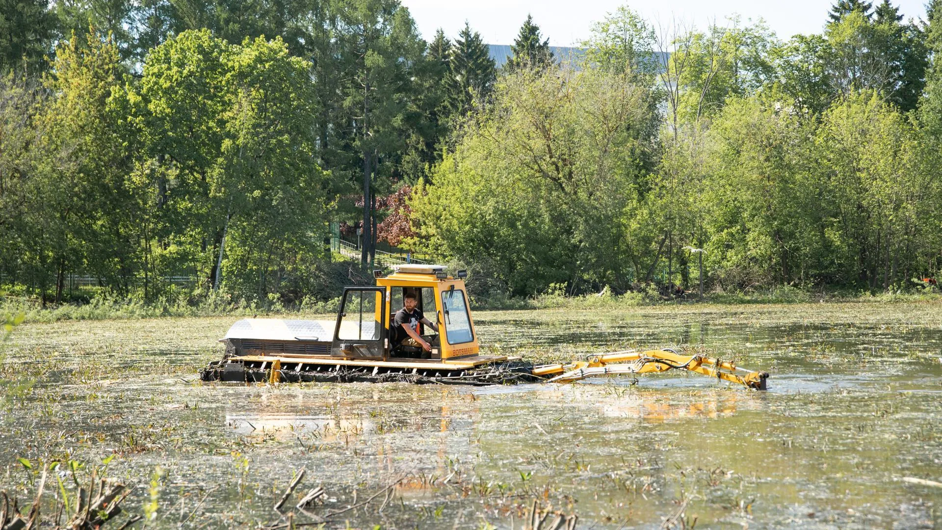 Работы по очистке пруда ведутся в поселке Деденево Дмитровского округа