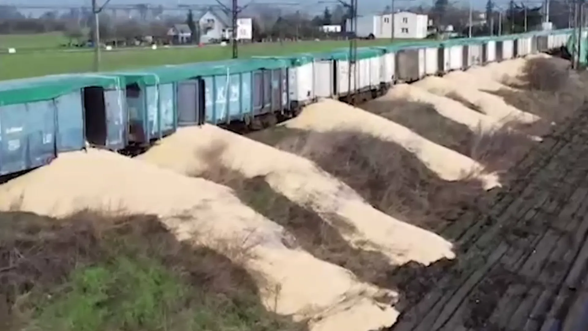 В Польше неизвестные высыпали из вагонов 160 т украинского зерна