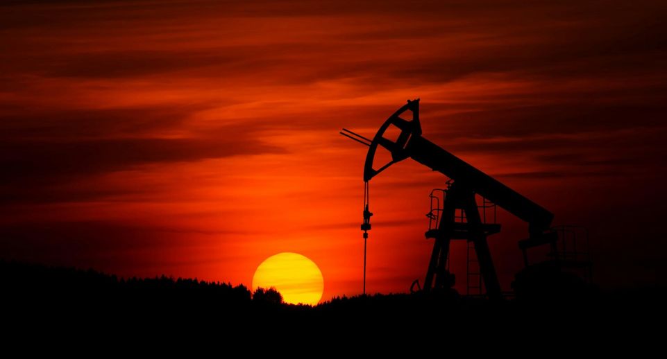 Bloomberg: российско-индийская торговля нефтью похожа на игру «ударь крота»