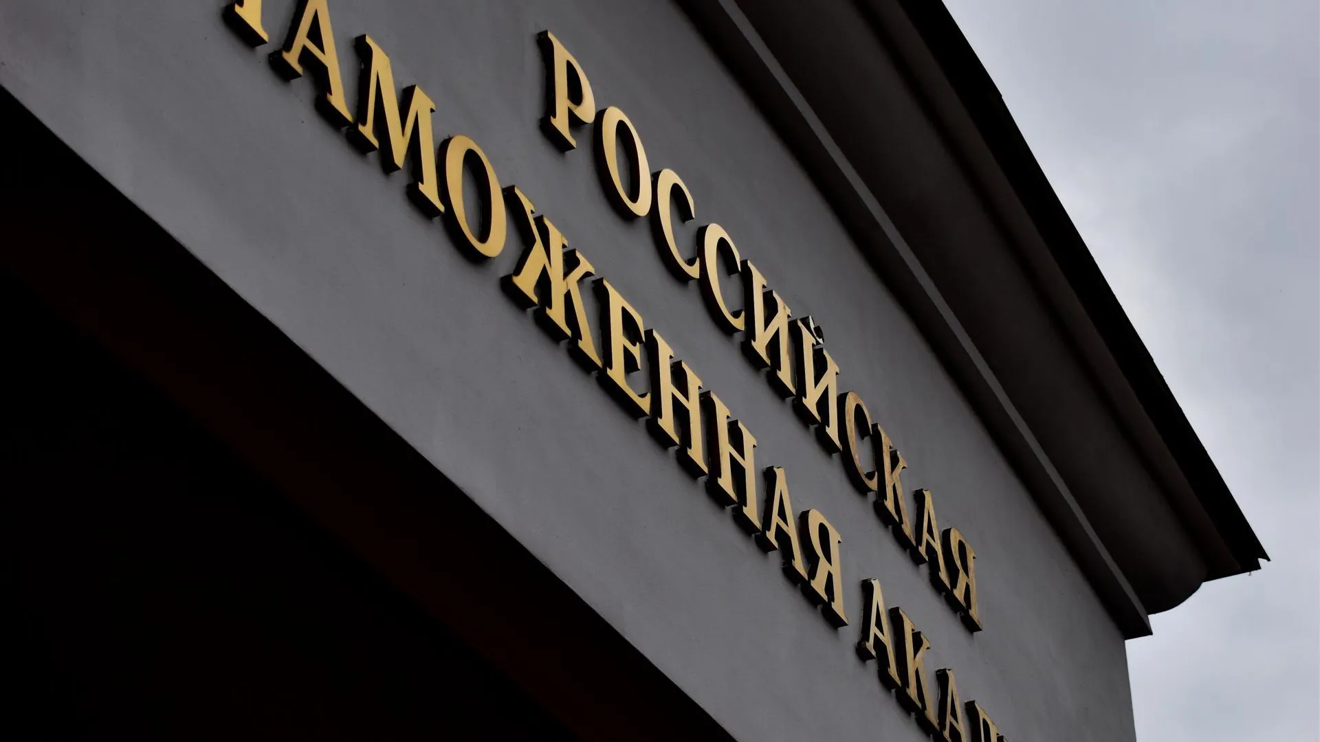 Студенты из Люберец снимут документальный фильм к юбилею Российской  таможенной академии | РИАМО