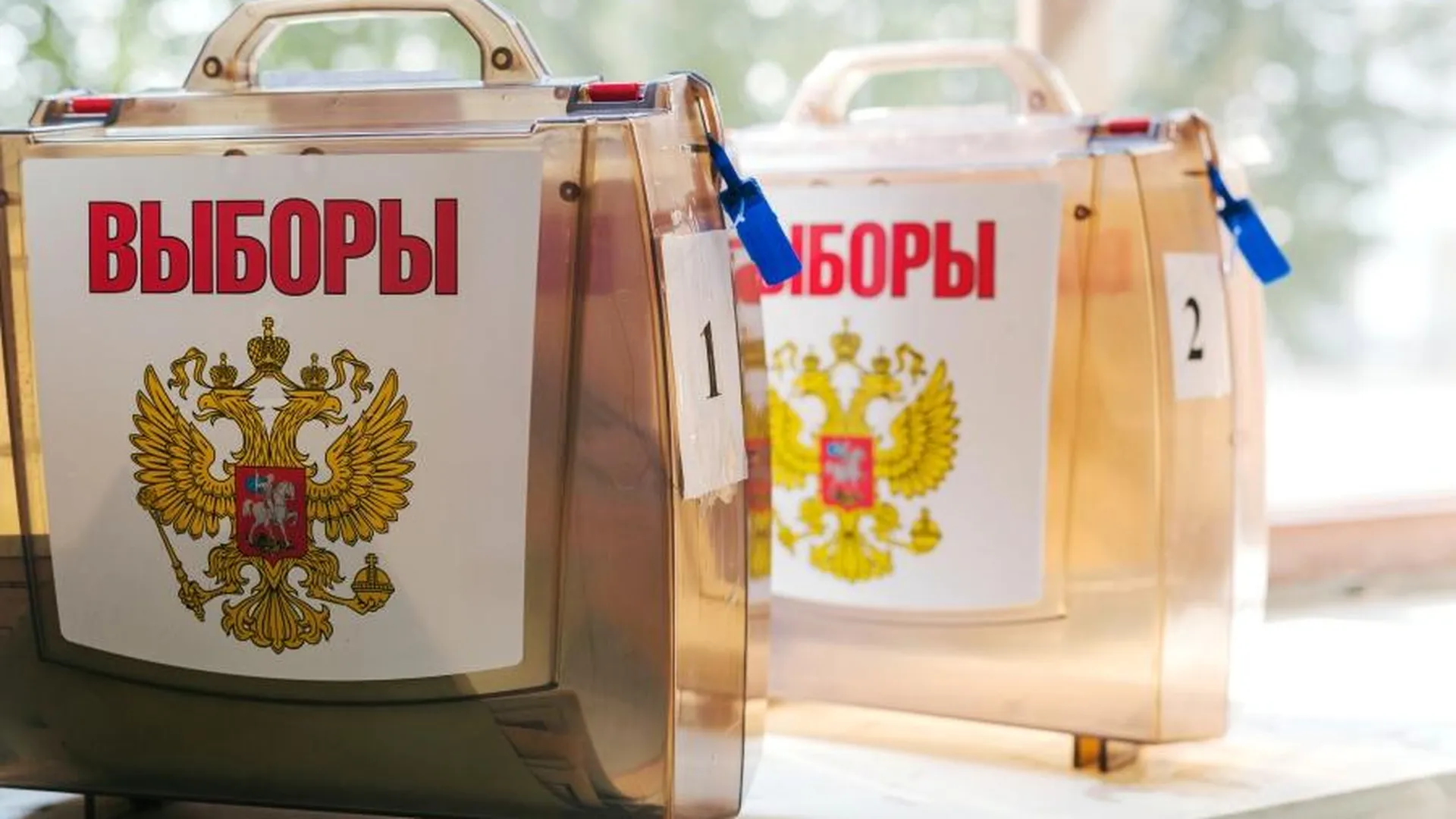 Жительница Дзержинска хотела поджечь фейерверк на избирательном участке
