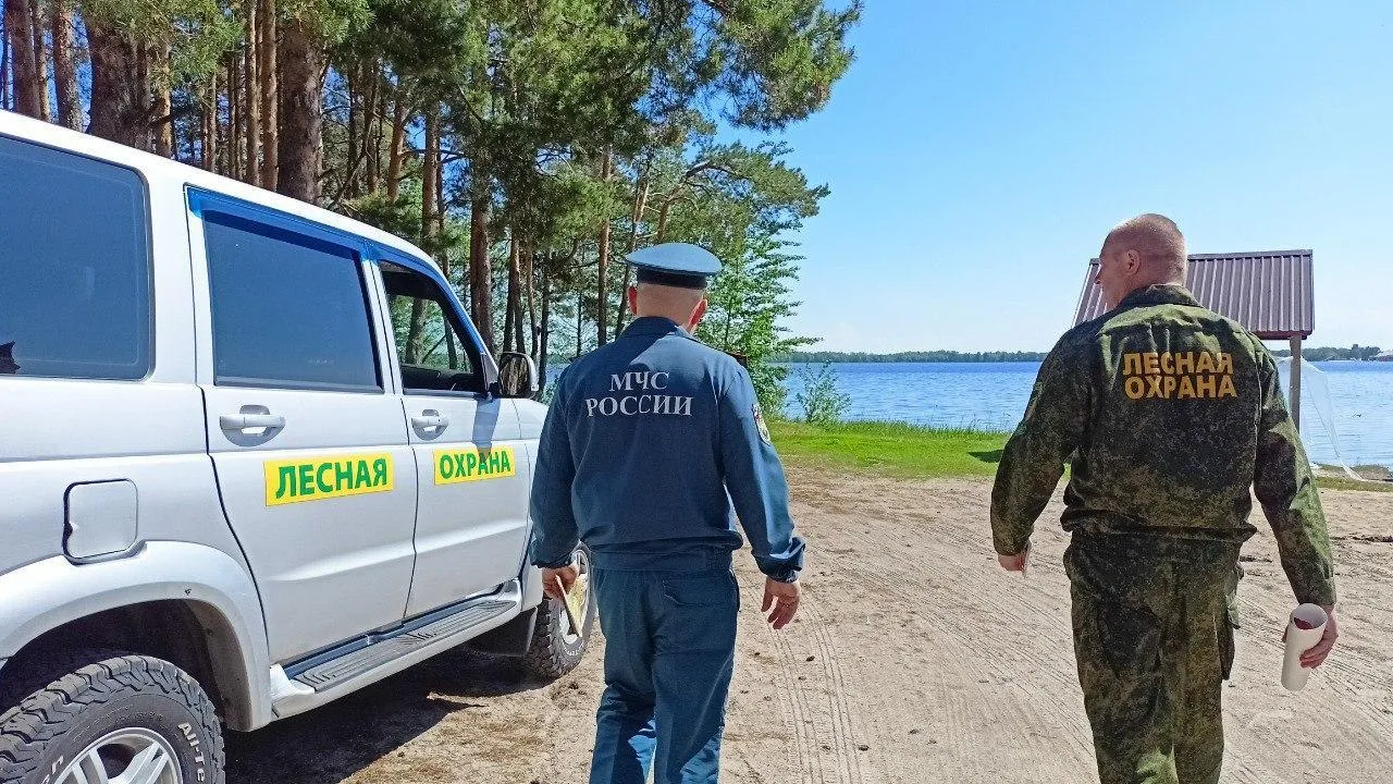 Комлесхоз продлил ограничения на посещение лесов и въезд в них автотранспорта до 1 октября