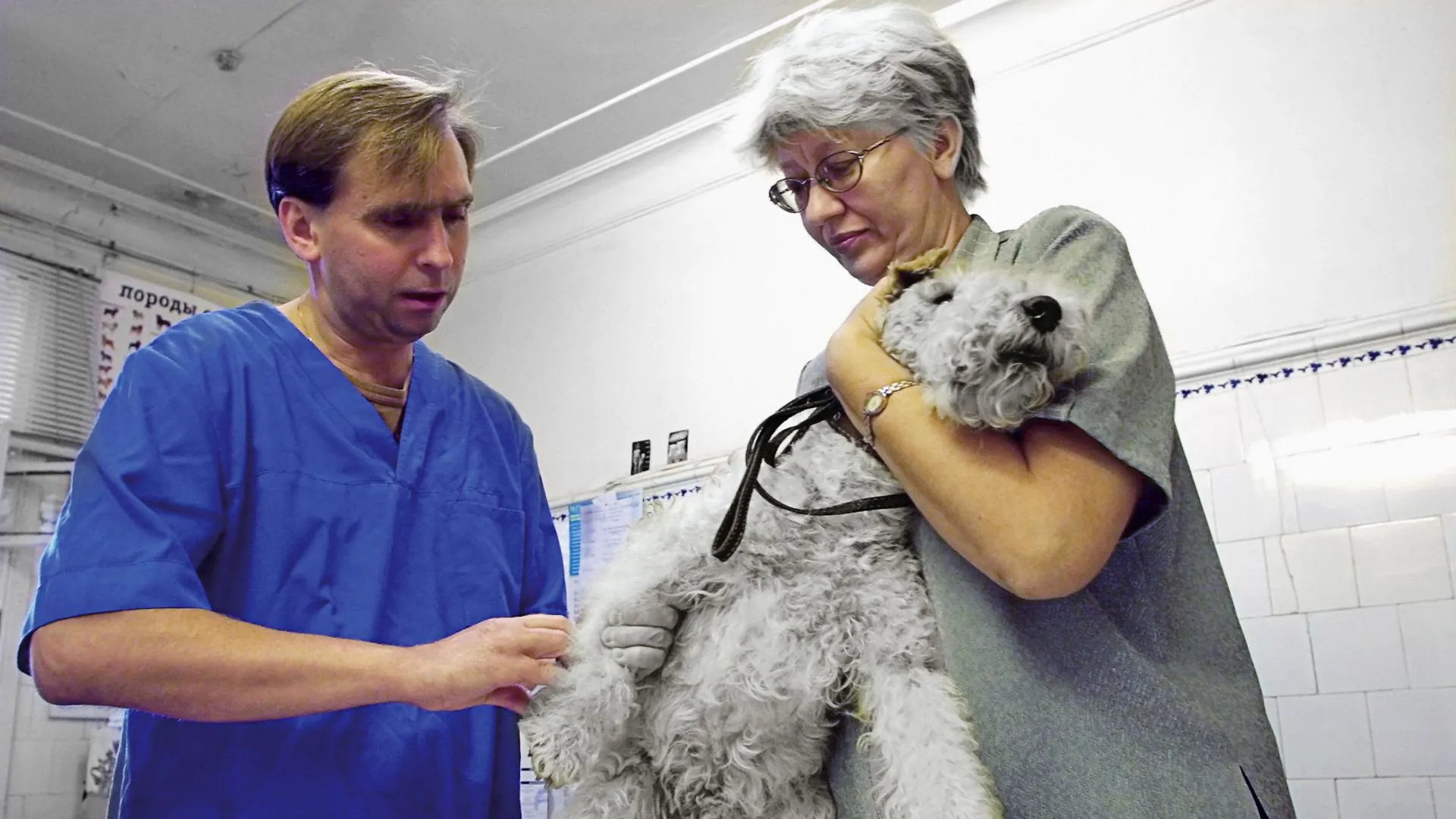 Вакцинация домашних животных от бешенства началась в Люберецком районе