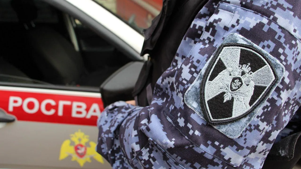 Подмосковные росгвардейцы задержали подозреваемую в подделке документов