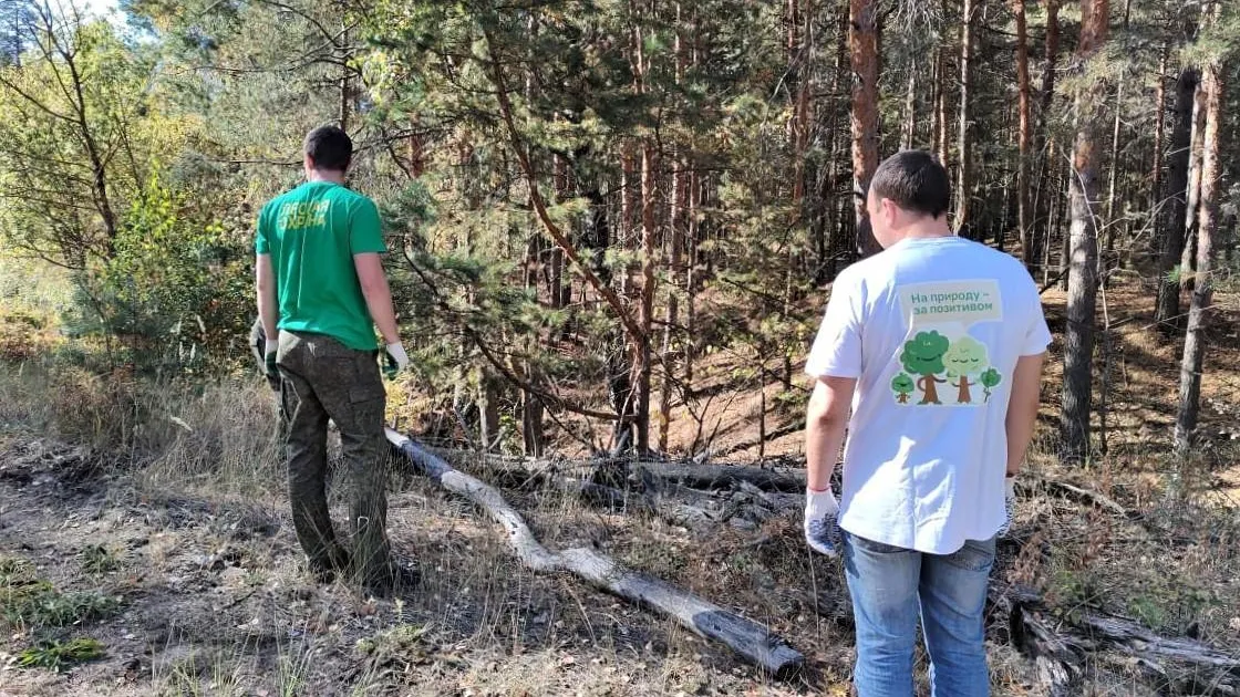 В экоакции «День в лесу» в Луховицах приняли участие около 70 человек