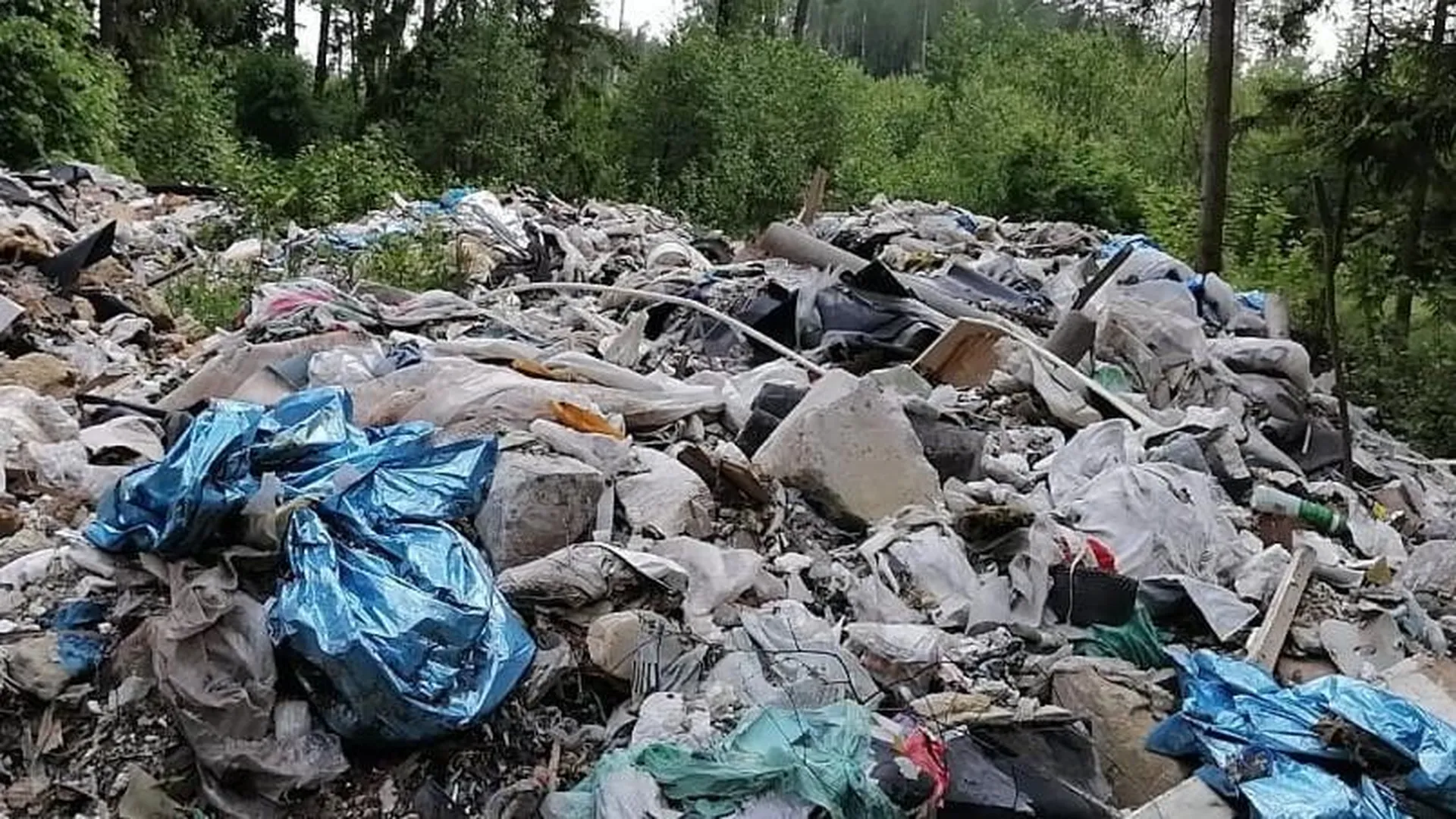 Около 40 тыс кубометров мусора планируют убрать из лесов Подмосковья в 2021 г