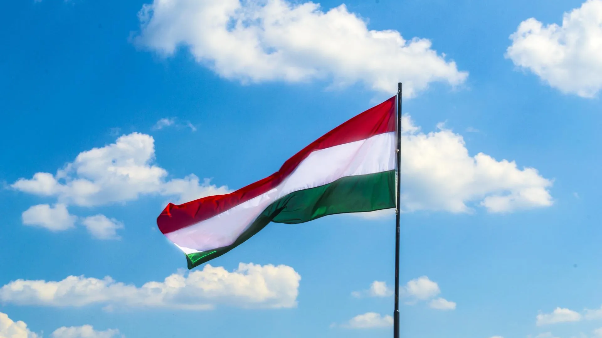 Оппозиция в Венгрии объявила сбор подписей под петицией о выборах президента