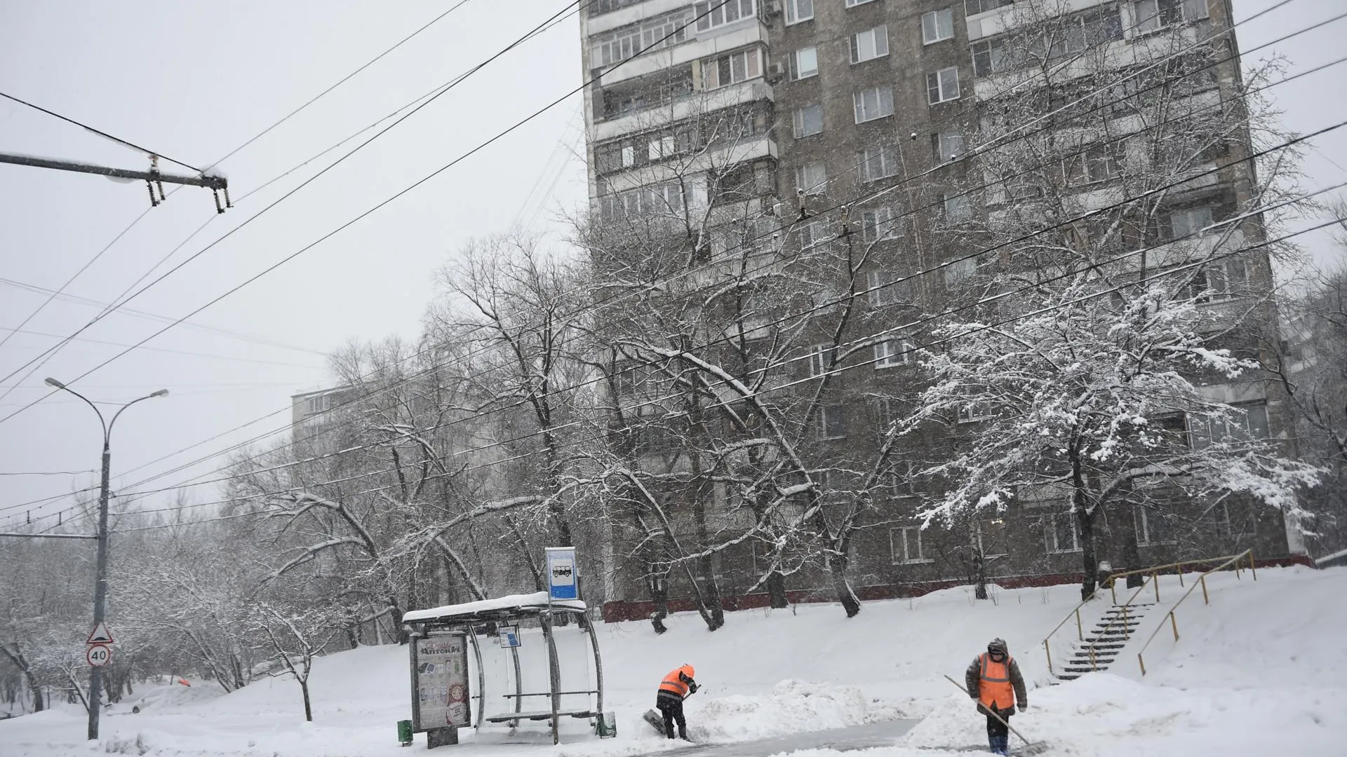 В Пресненском районе Москвы городские организации помогали устранять последствия снегопада