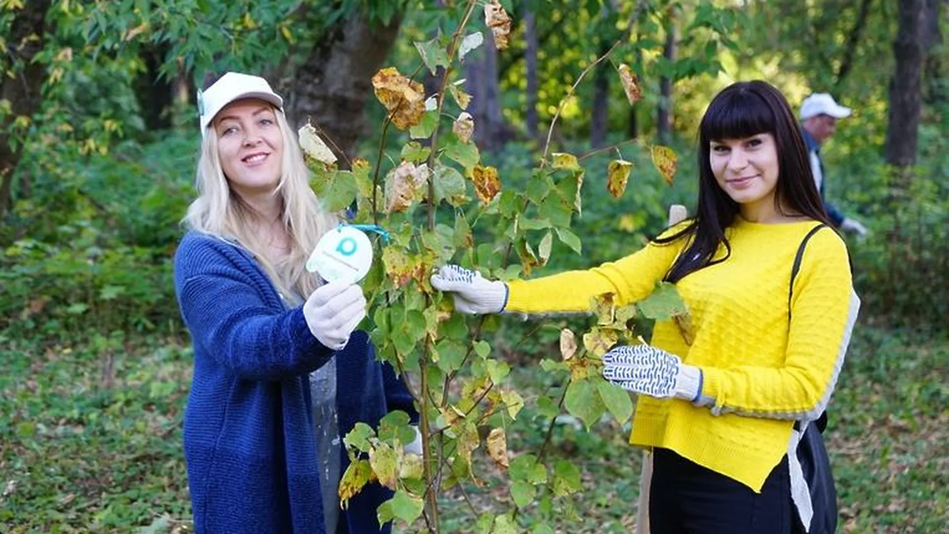 Сотрудники портала «РИАМО в Подольске» посадили дерево в сквере 200‑летия Подольска