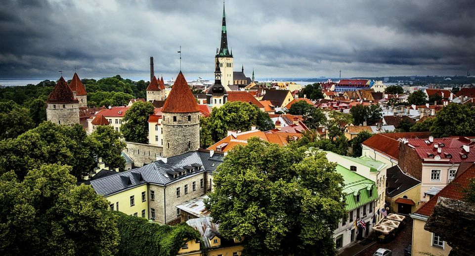 МВД Эстонии заявило о застройке территорий, которые хотели «обменять» с РФ