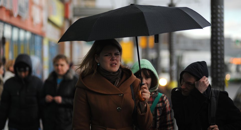 Москвичей предупредили о сильном ветре и ливнях с грозой 19 апреля