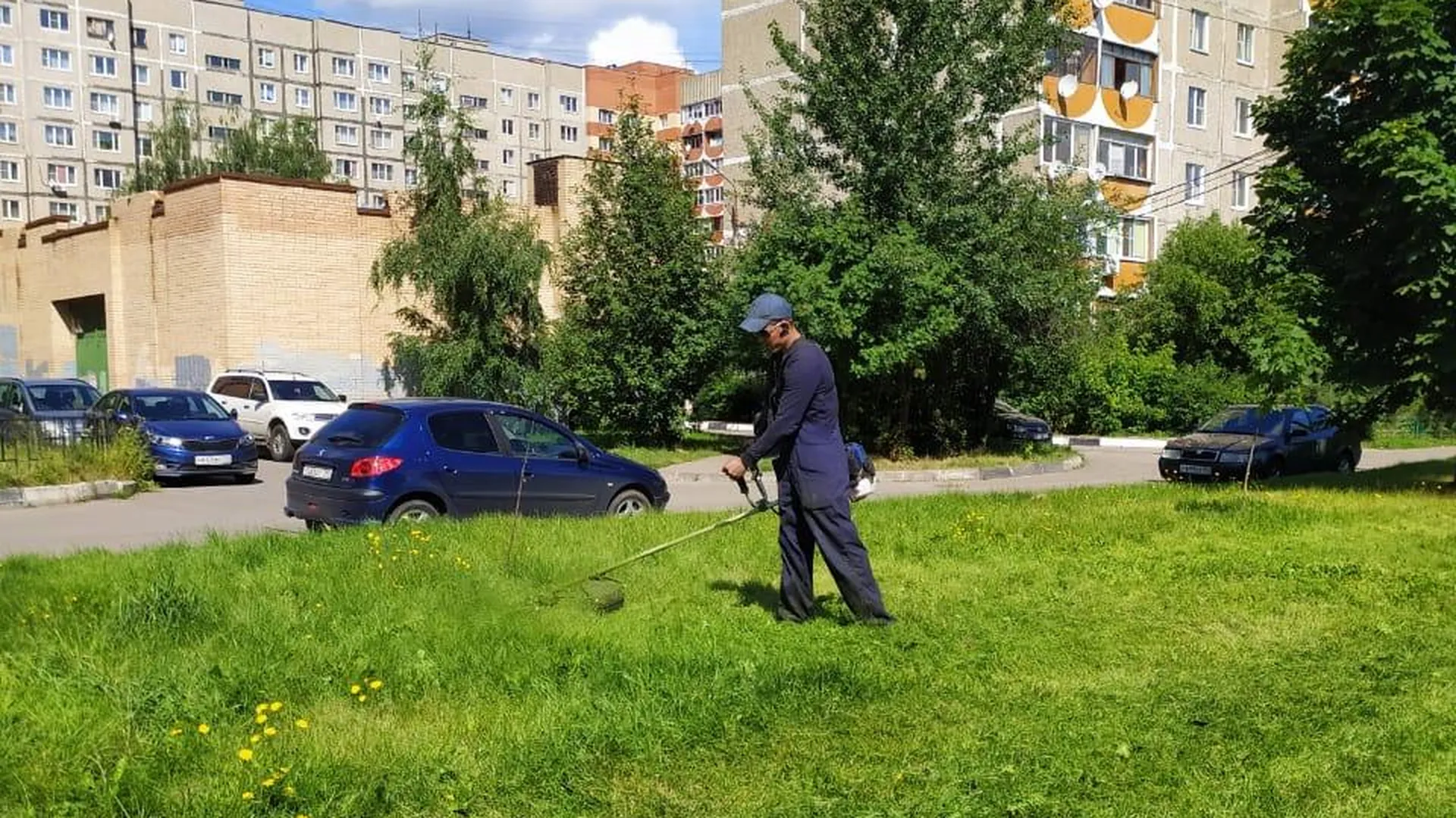 Траву на Новомытищинском проспекте окосили по просьбе жителей в Мытищах |  РИАМО