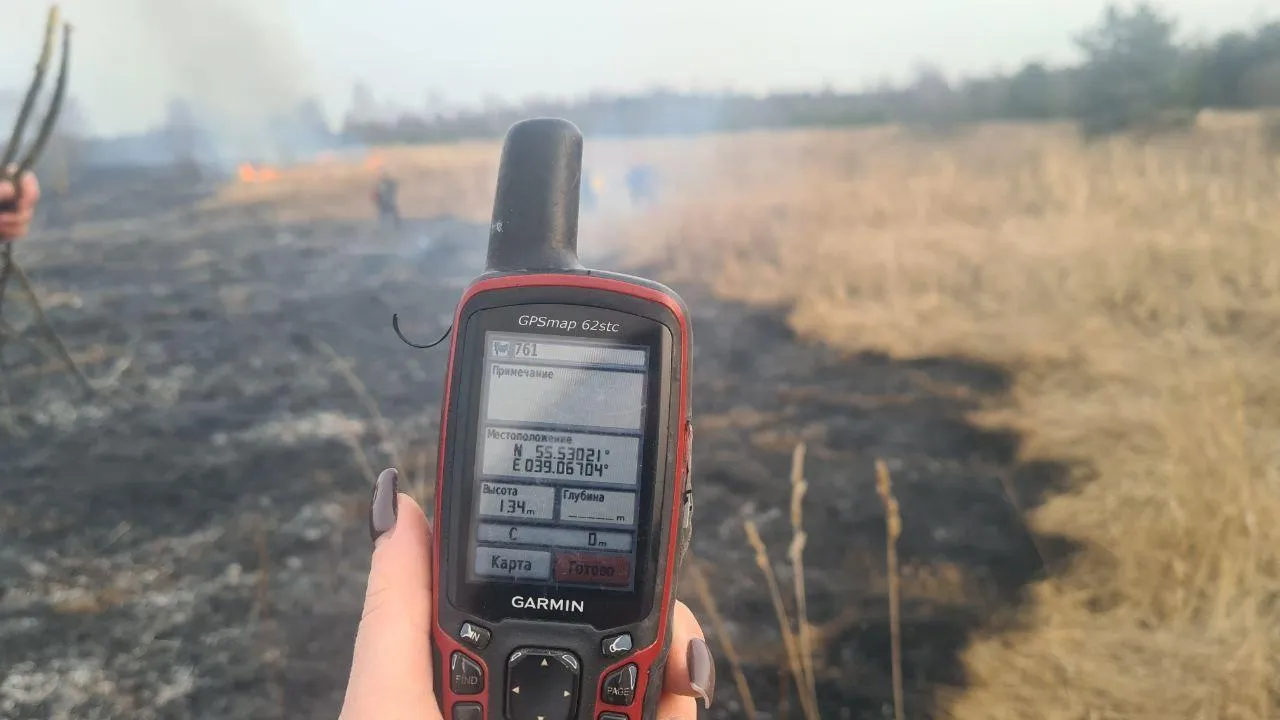 В Подмосковье удалось избежать возгорания леса благодаря лесничим и лесным пожарным