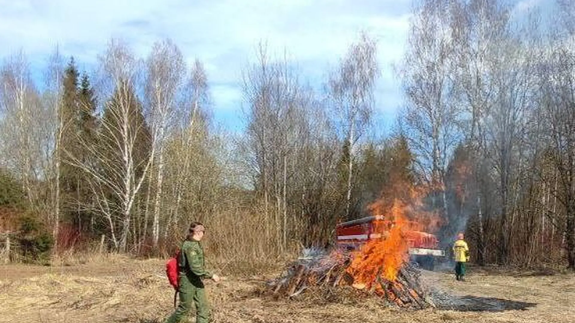 Межведомственные учения по тушению лесных пожаров провели в Дмитровском округе