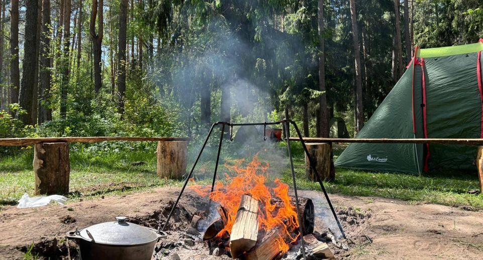 Жителям Подмосковья напомнили о недопустимости разведения огня в лесу