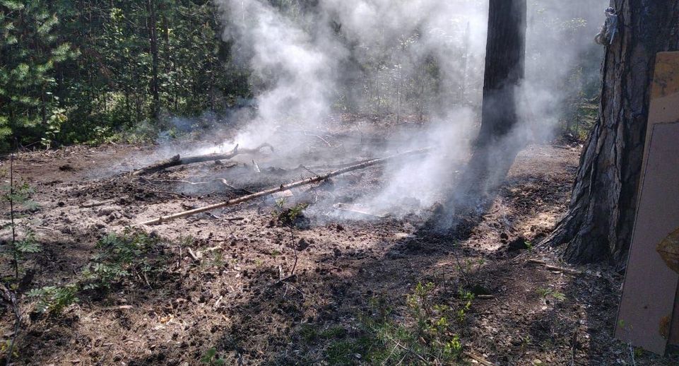 Лесной пожар ликвидировали на территории Луховиц