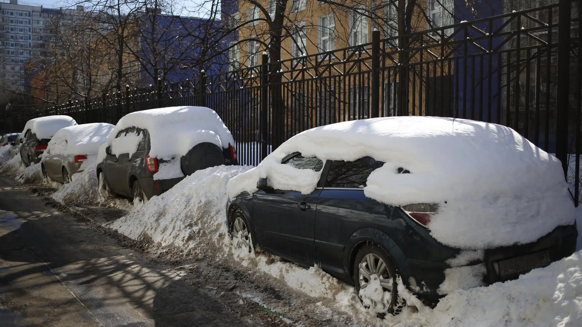 Более 6% неправильно припаркованных машин в Москве имели нечитаемые номера  | РИАМО