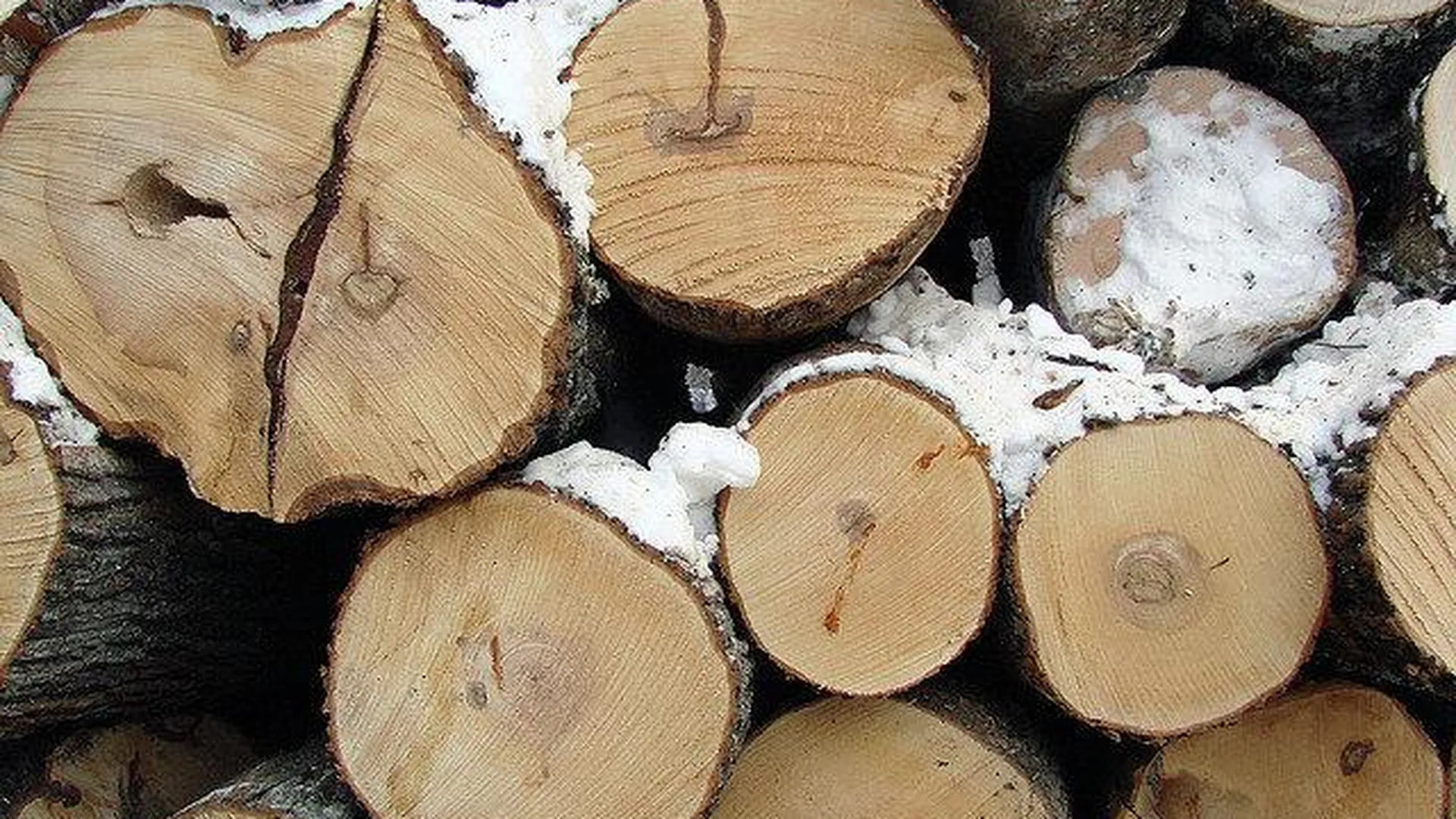 Комлесхоз области проведет проверку по вырубке леса в Раменcком районе 14 марта