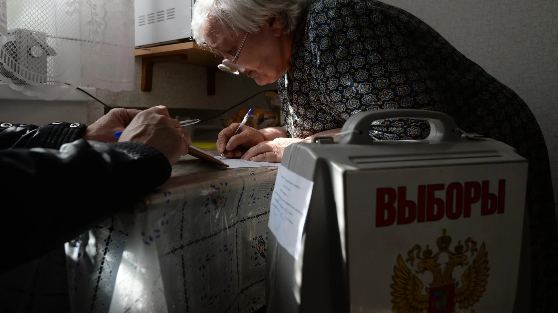 Жители Красногорска могут подать заявку на голосование на дому до 17 часов  1 июля | РИАМО