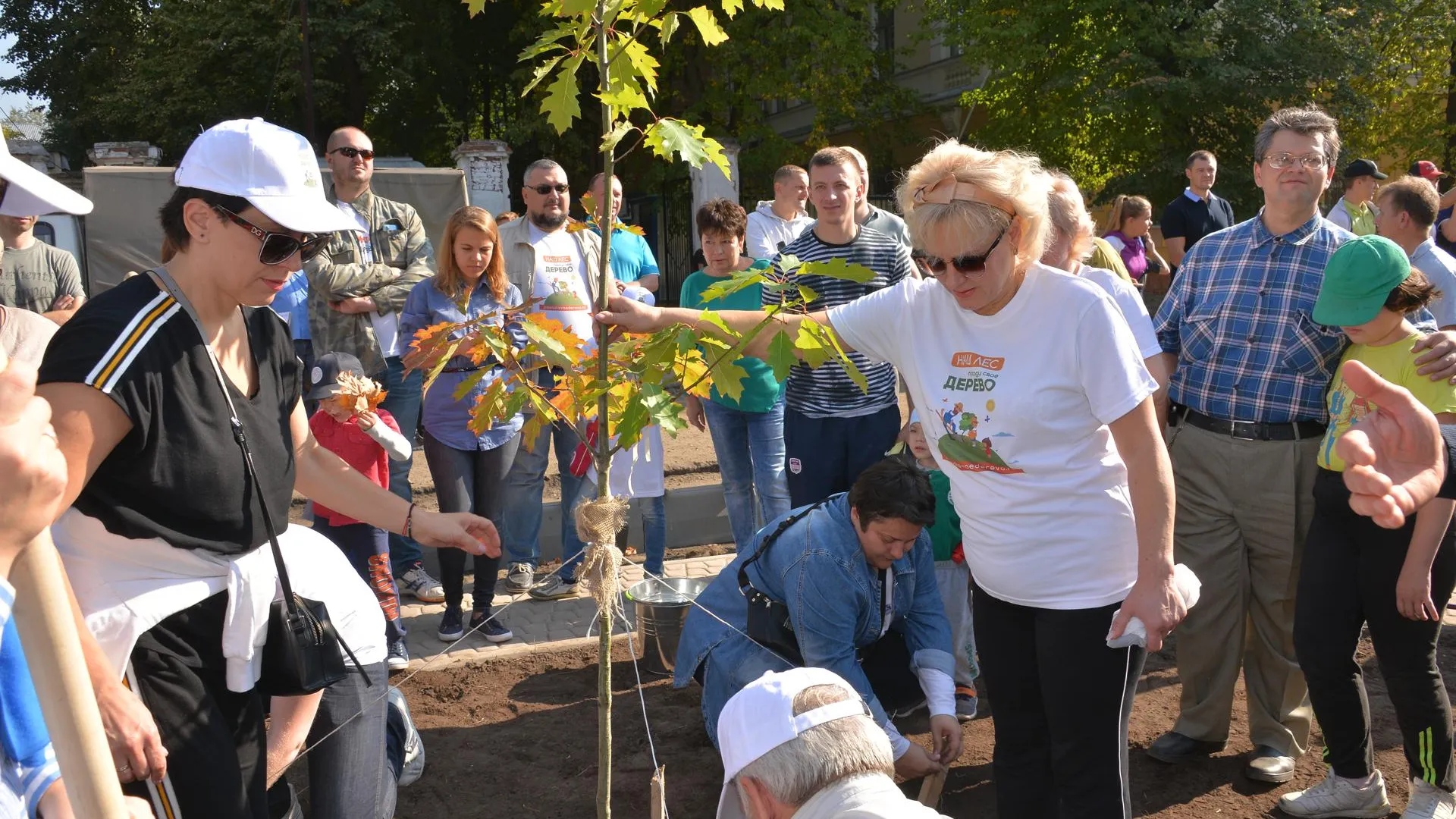 В Электростали высадили более 1,5 тыс саженцев в ходе акции «Наш лес. Посади свое дерево»
