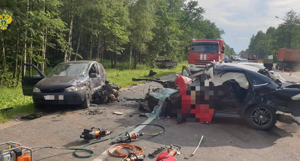 Один человек погиб в ДТП с грузовиком в Новой Москве