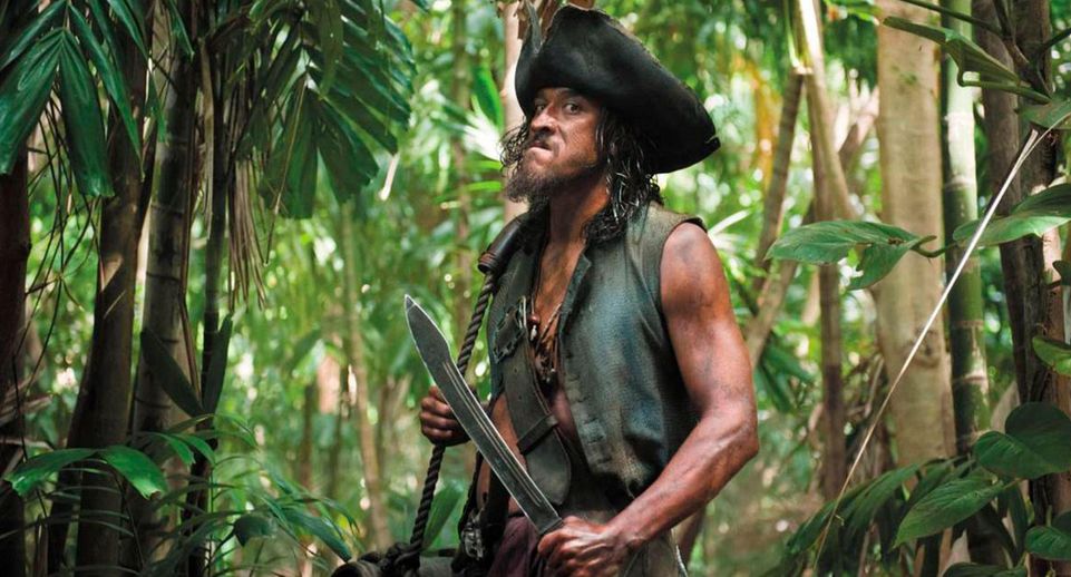 Актер из «Пиратов Карибского моря» погиб после нападения акулы на Гавайях