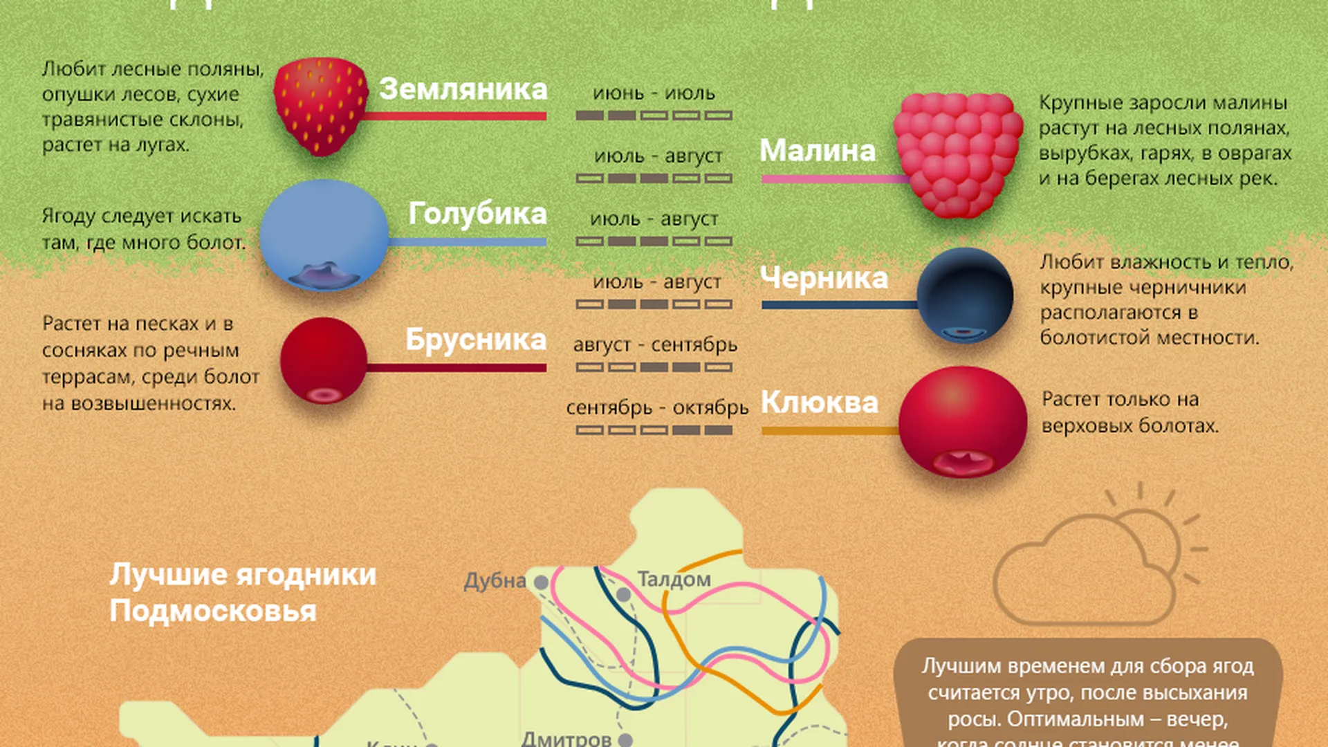 Где Купить В Московской Области