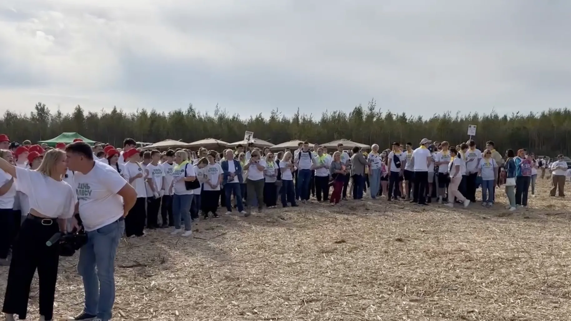В Подмосковье стартовала экоакция «День в лесу. Сохраним лес вместе»