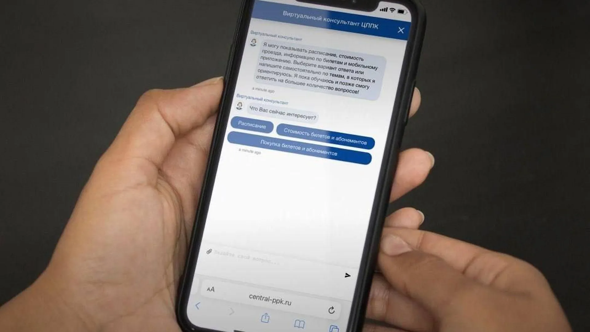 Виртуальный консультант ЦППК за год обработал почти 30 тыс обращений | РИАМО