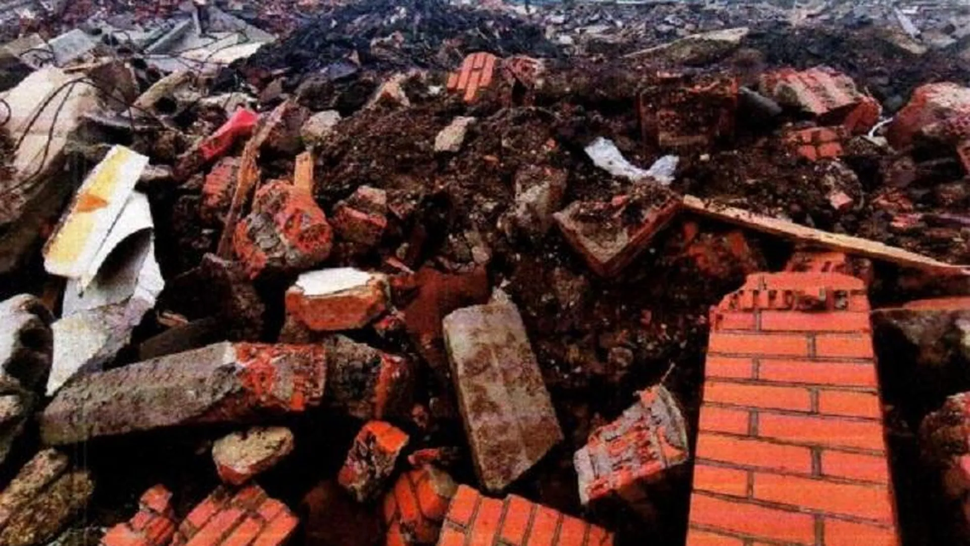 Надзорные и правоохранительные органы дадут оценку свалке стройотходов в Химках