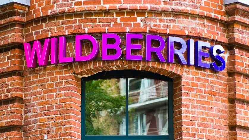 Бакальчук обвинил новое руководство Wildberries в потере компанией миллионов руб