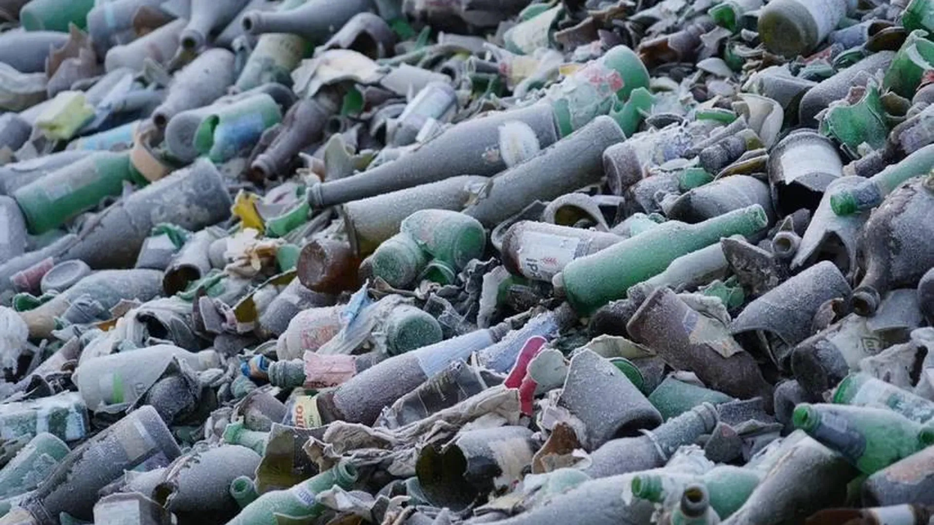 Одинцовские нарушители возместят 22‑миллионный ущерб от незаконного размещения отходов