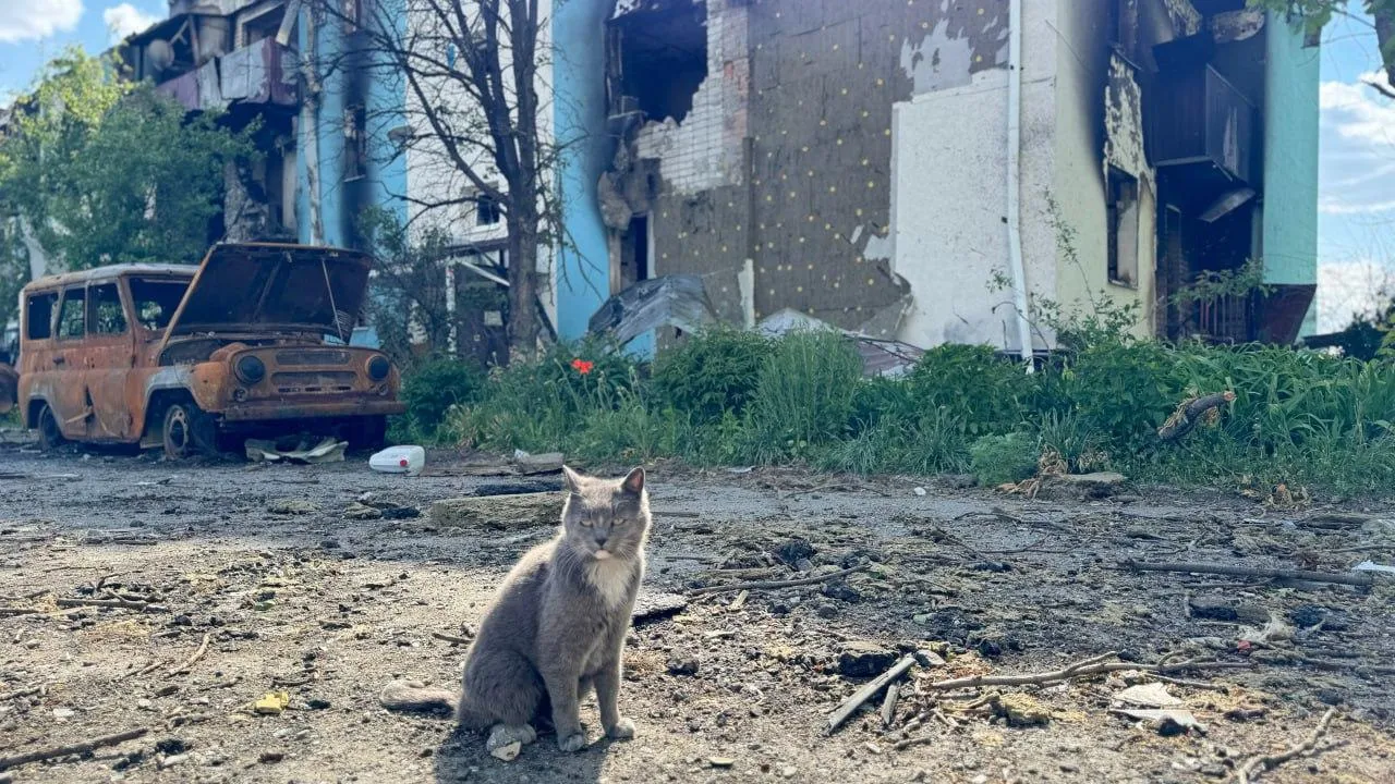 Минобороны: снаряд «Ольха» уничтожили над Белгородской областью