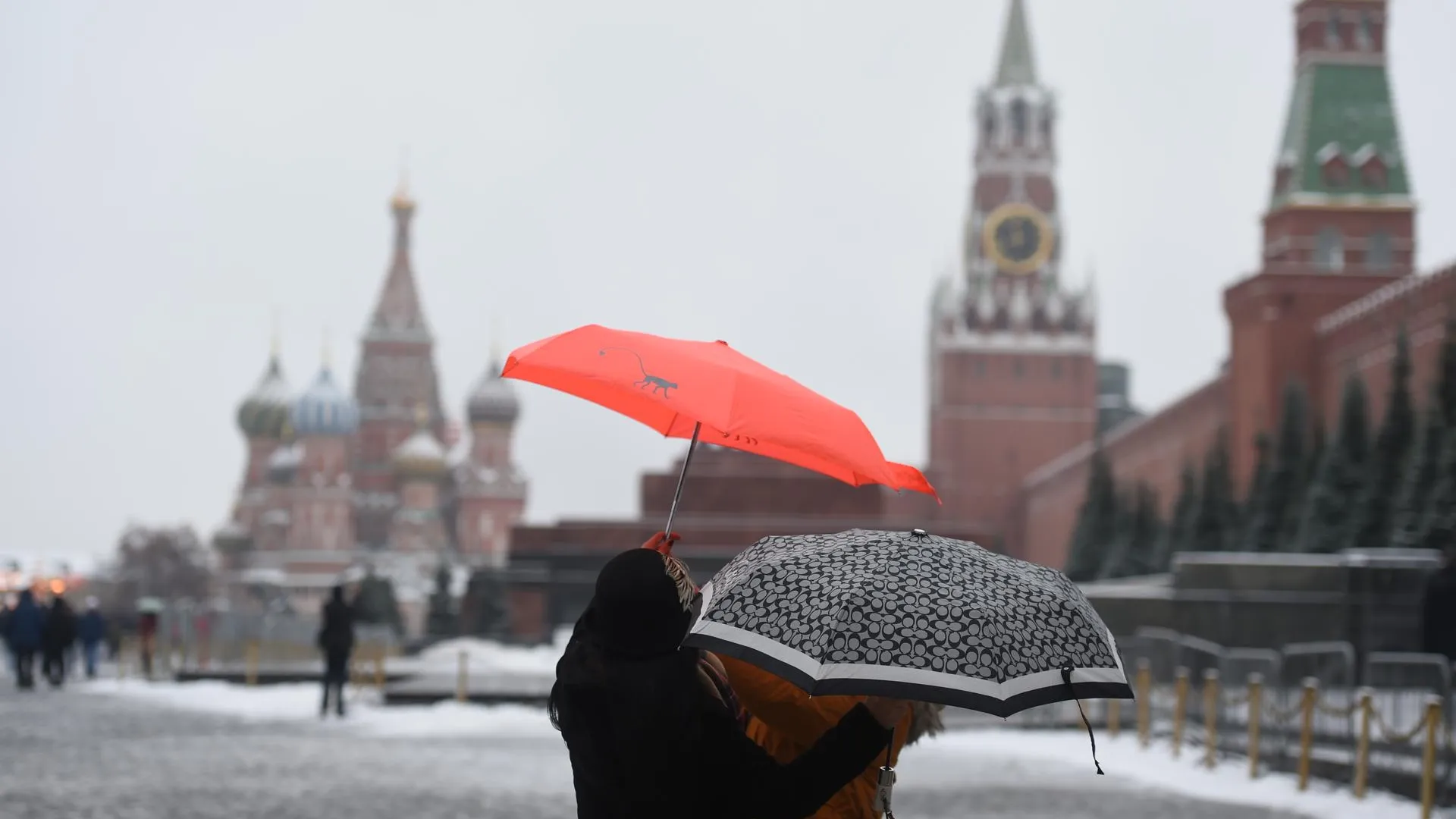 Мокрый снег и до +1 градуса ожидается в Московском регионе в среду