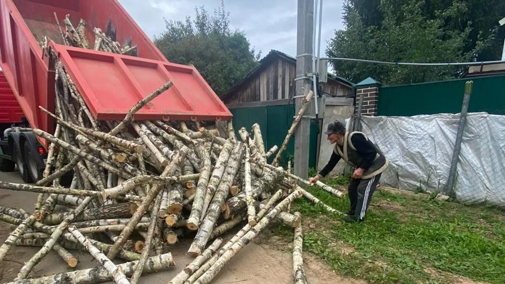 Подмосковные лесничие помогли одинокому пенсионеру заготовить дрова