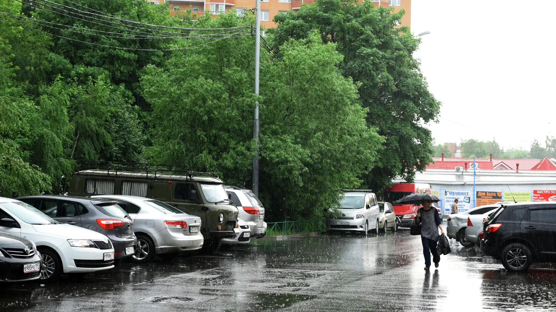 Более 840 рабочих ГУП «Мосводосток» дежурят в местах скопления воды | РИАМО