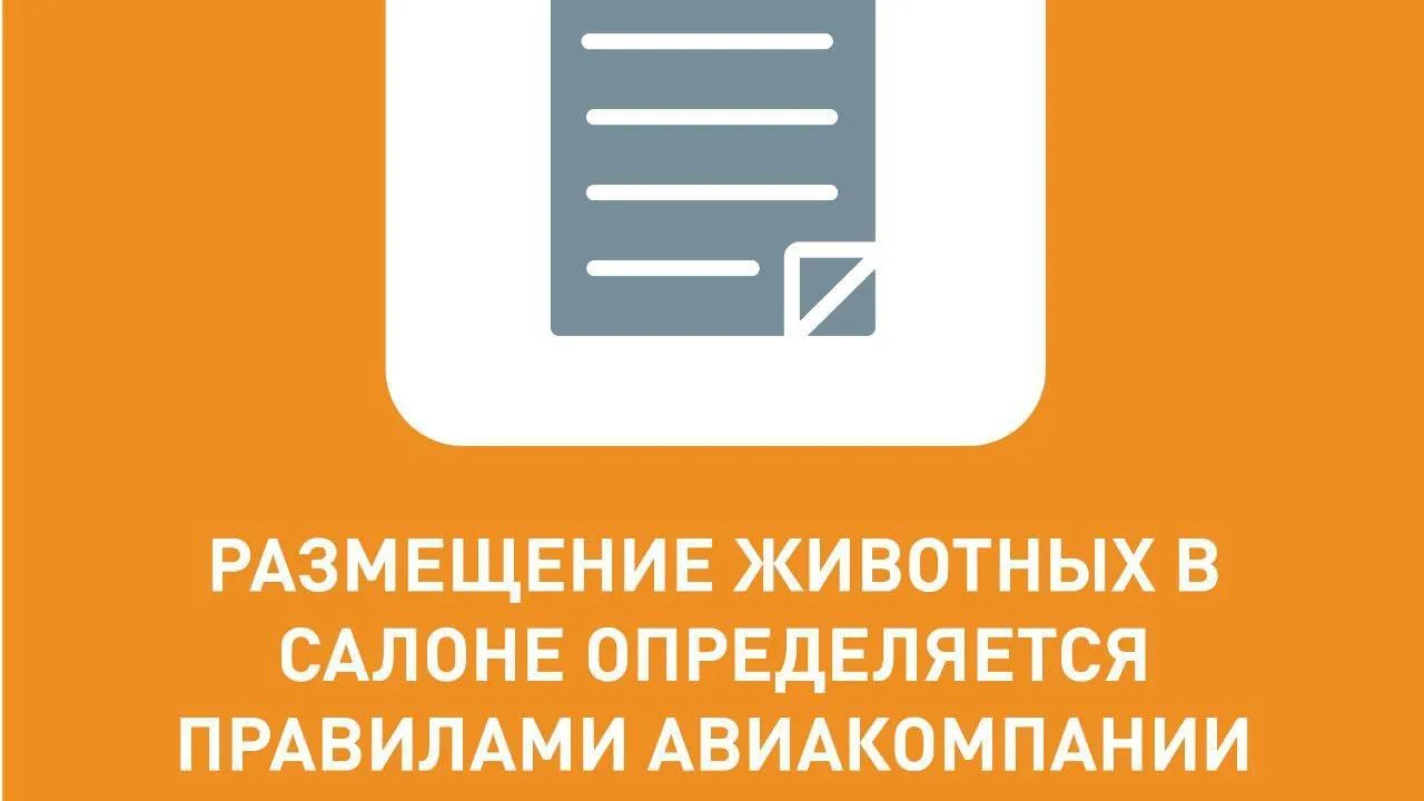 Жителям Подмосковья напомнили правила провоза животных на самолете