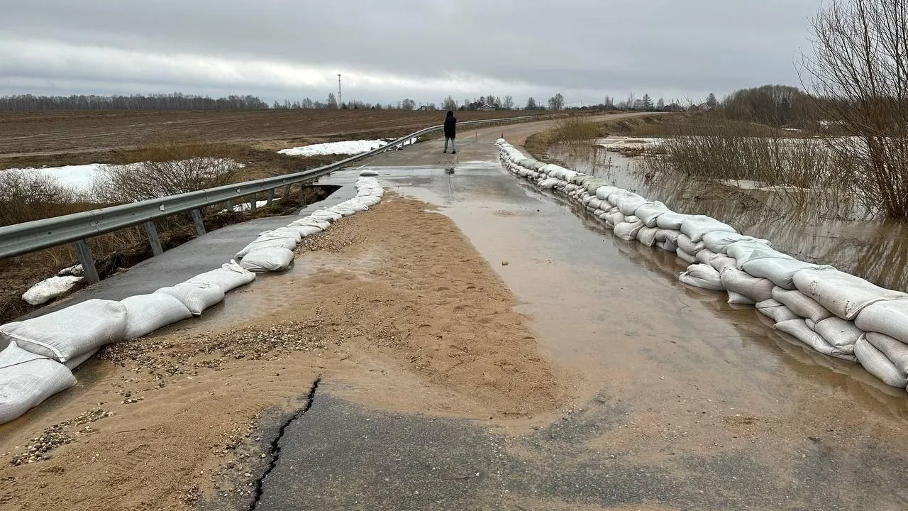 Затопленную дорогу в Дмитровском округе освободили от воды и планируют обследовать