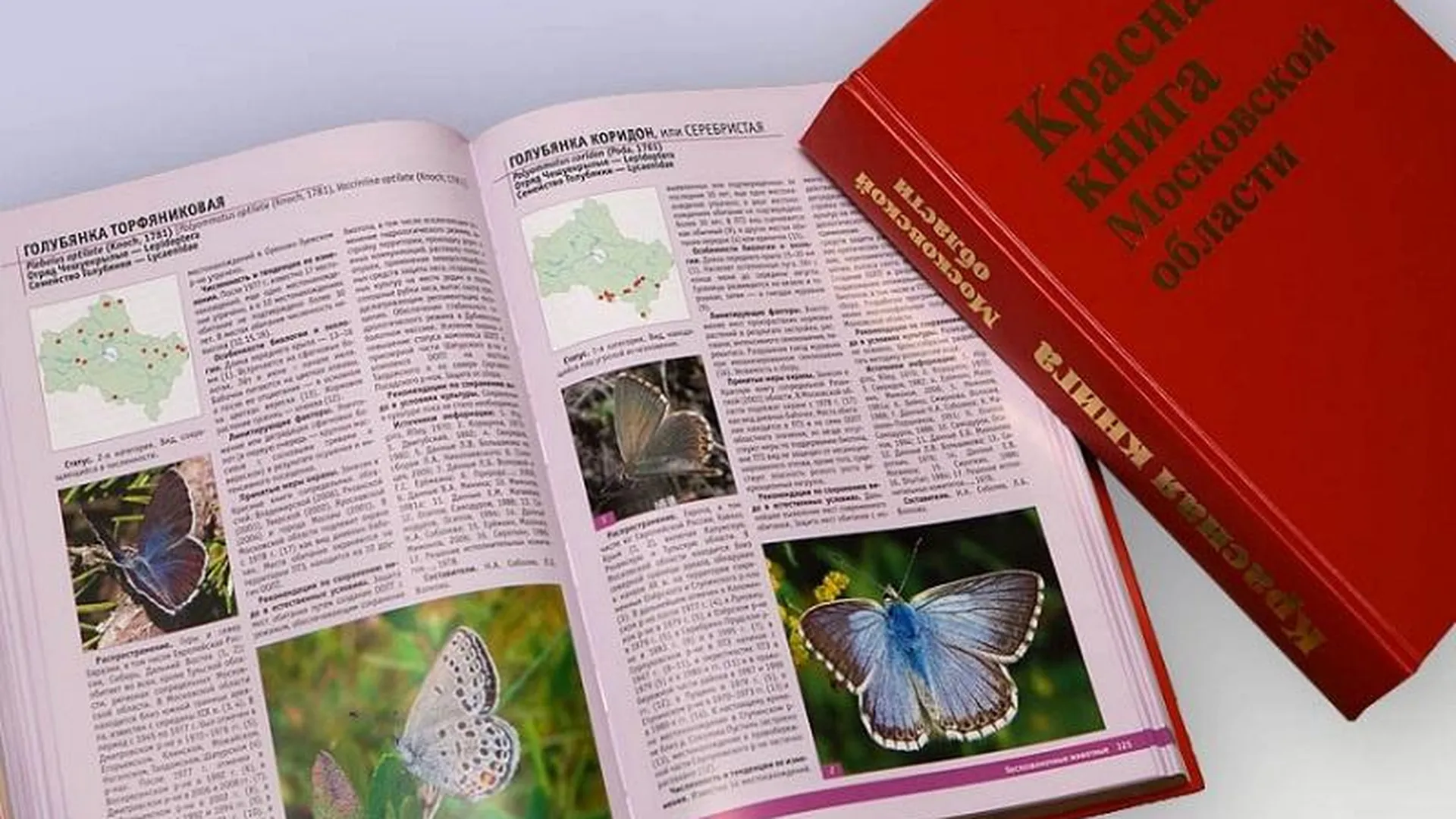 Красная Книга Где Купить