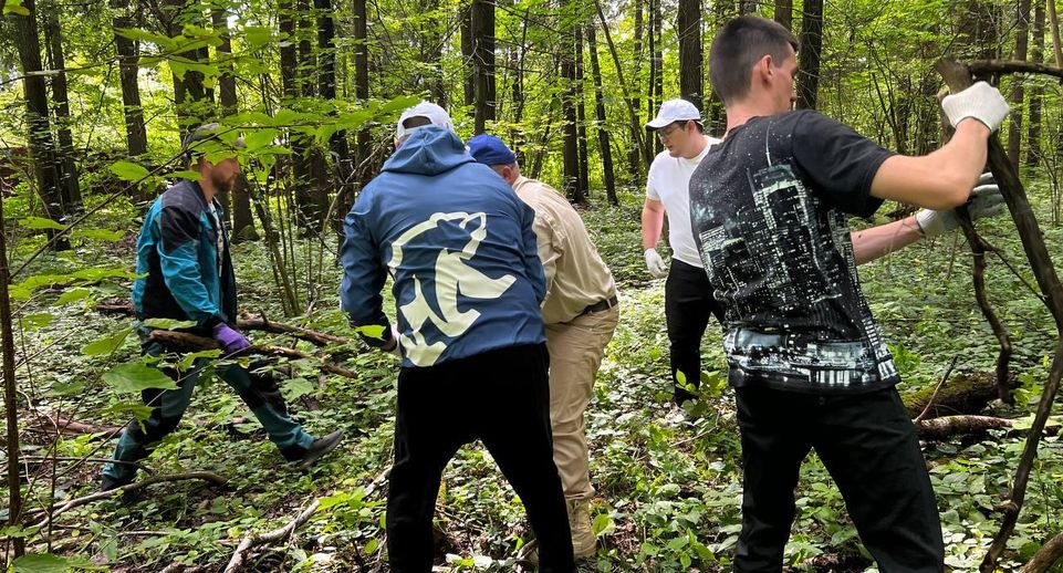 Единороссы Сергиева Посада и местные жители приняли участие в экологической акции «Чистый лес»