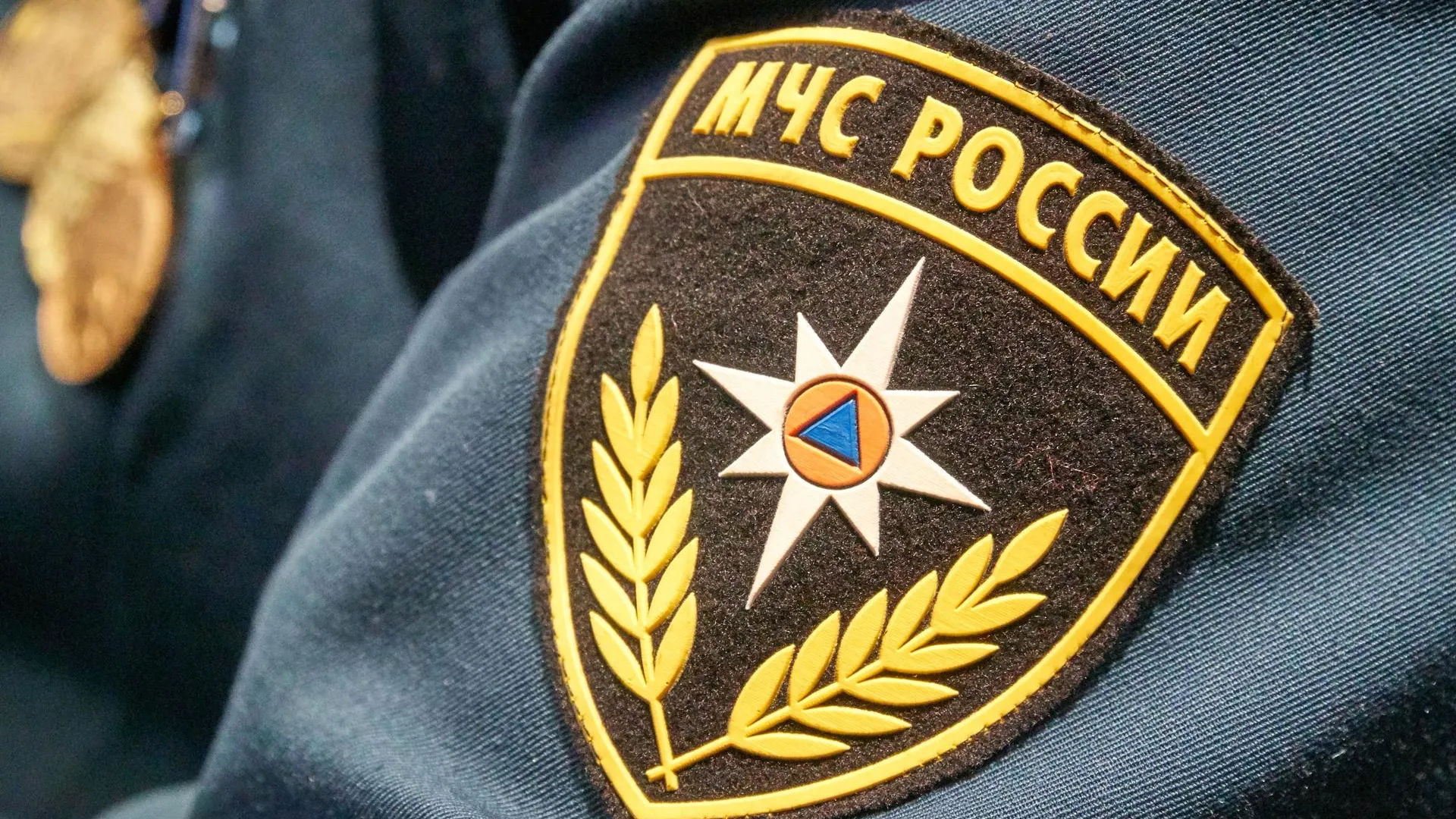 В МЧС рассказали об опознании 68 погибших при теракте в Crocus