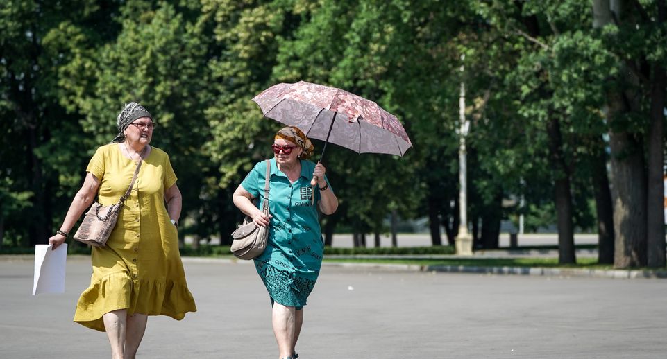 Жара до +30 градусов ожидается в Москве в последние дни весны