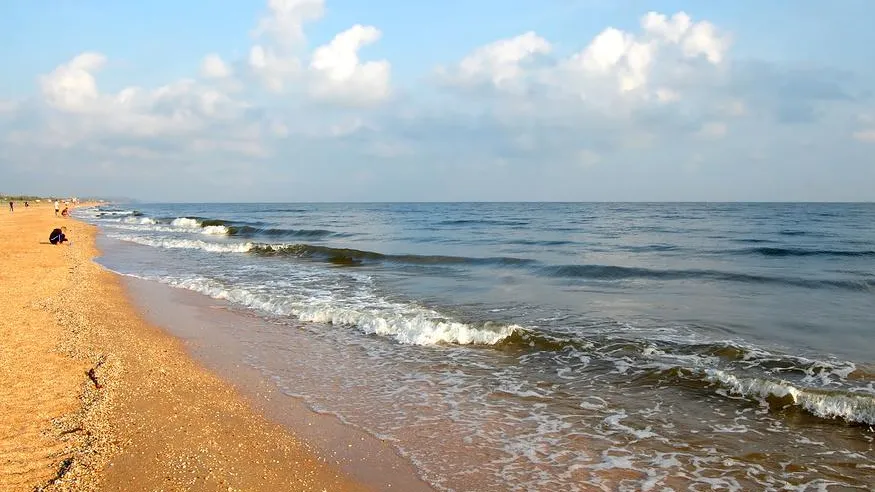 Стало известно, почему Азовское море стало «инкубатором» для морской живности