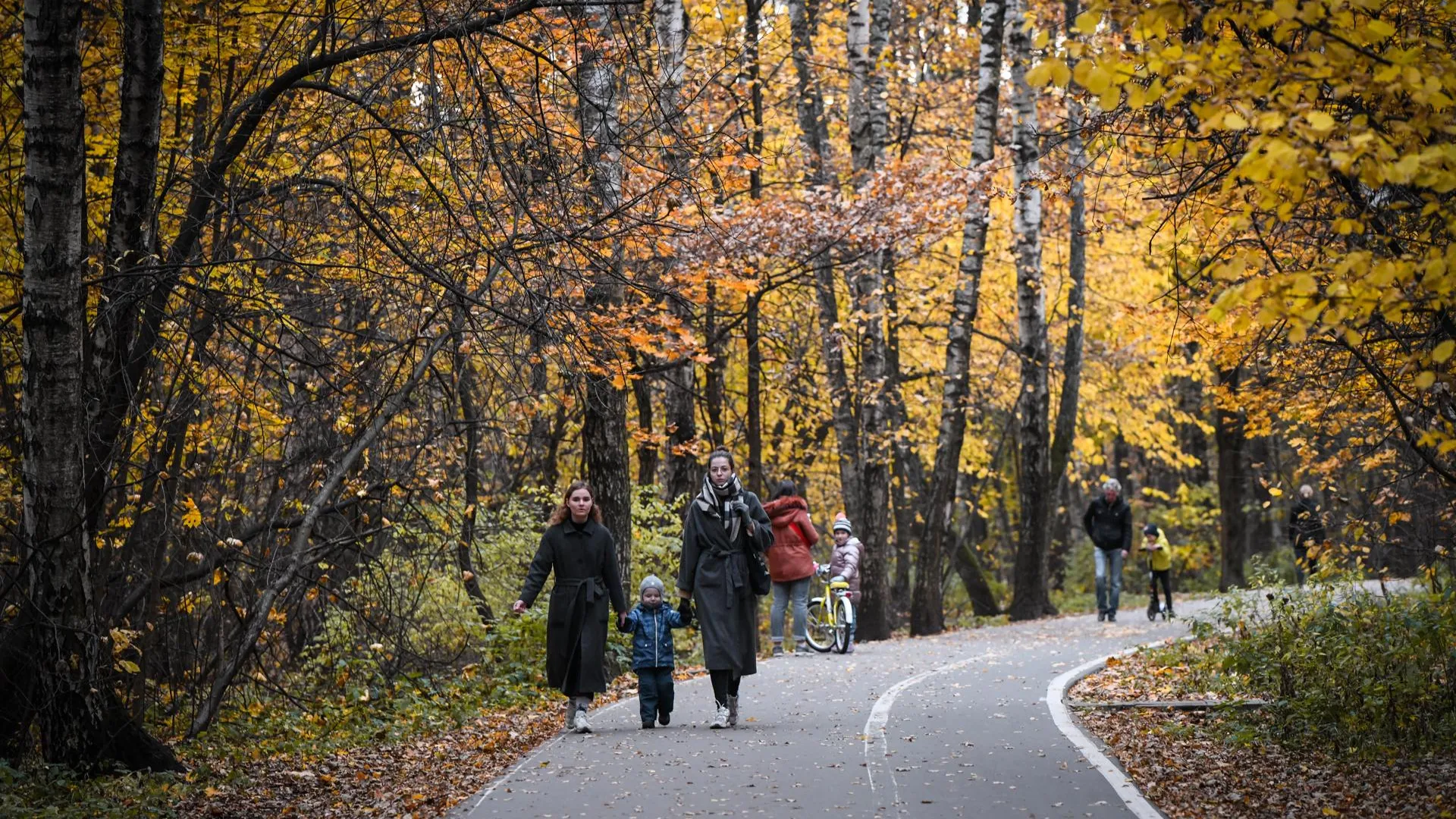Александр Манзюк