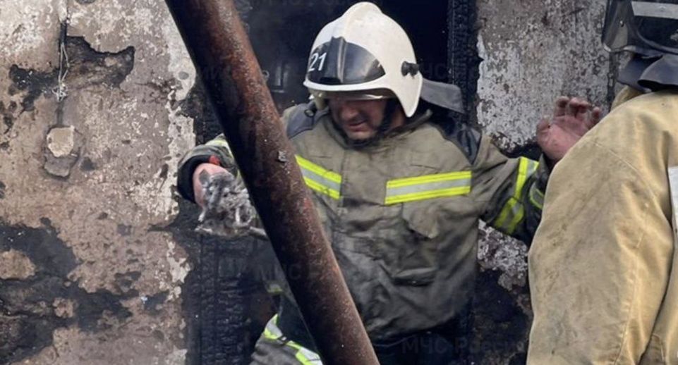 Семью шиншилл спасли при пожаре в доме в Краснодарском крае