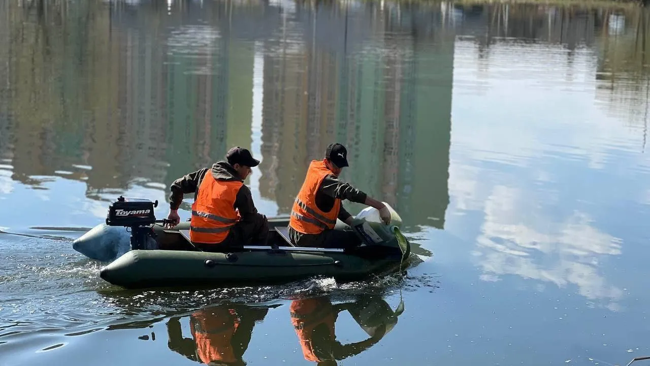 Планктон для очистки водоема запустили в пруд Люберец