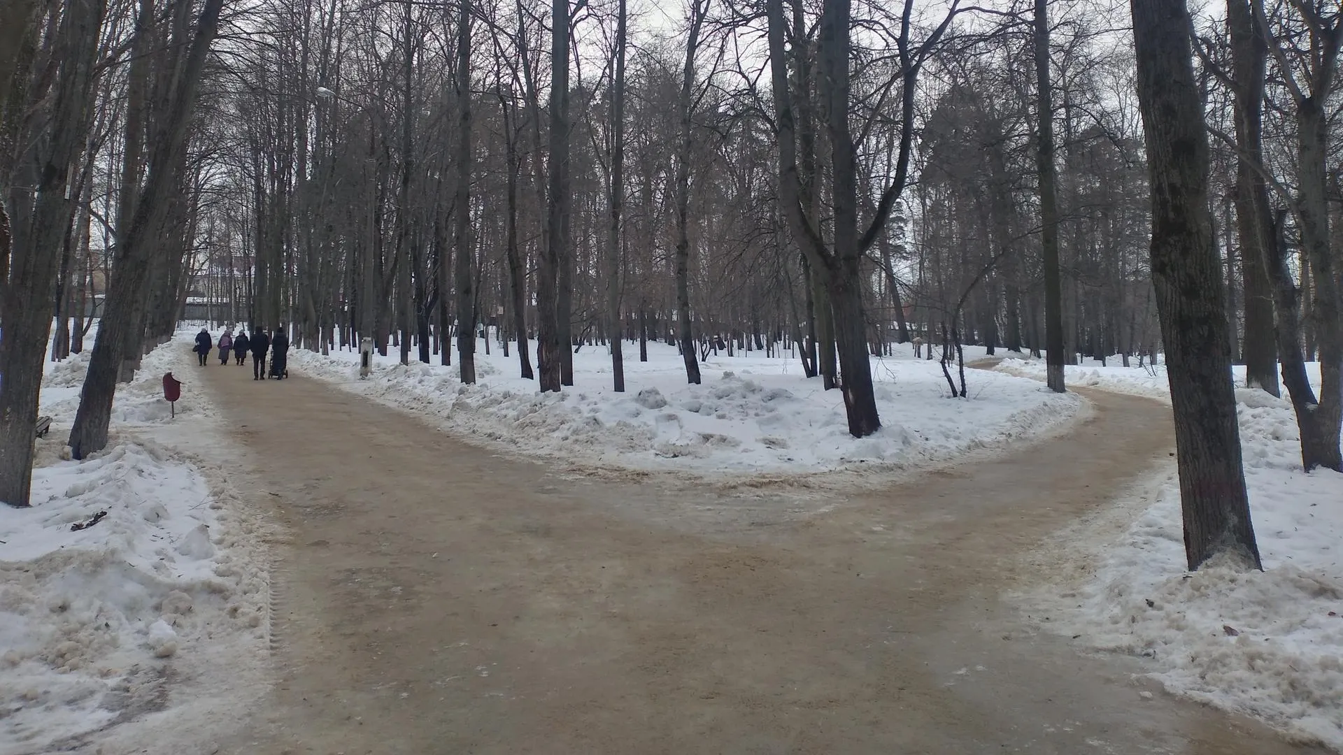 Жители Лосино‑Петровского будут контролировать благоустройство парка «Свердловский»