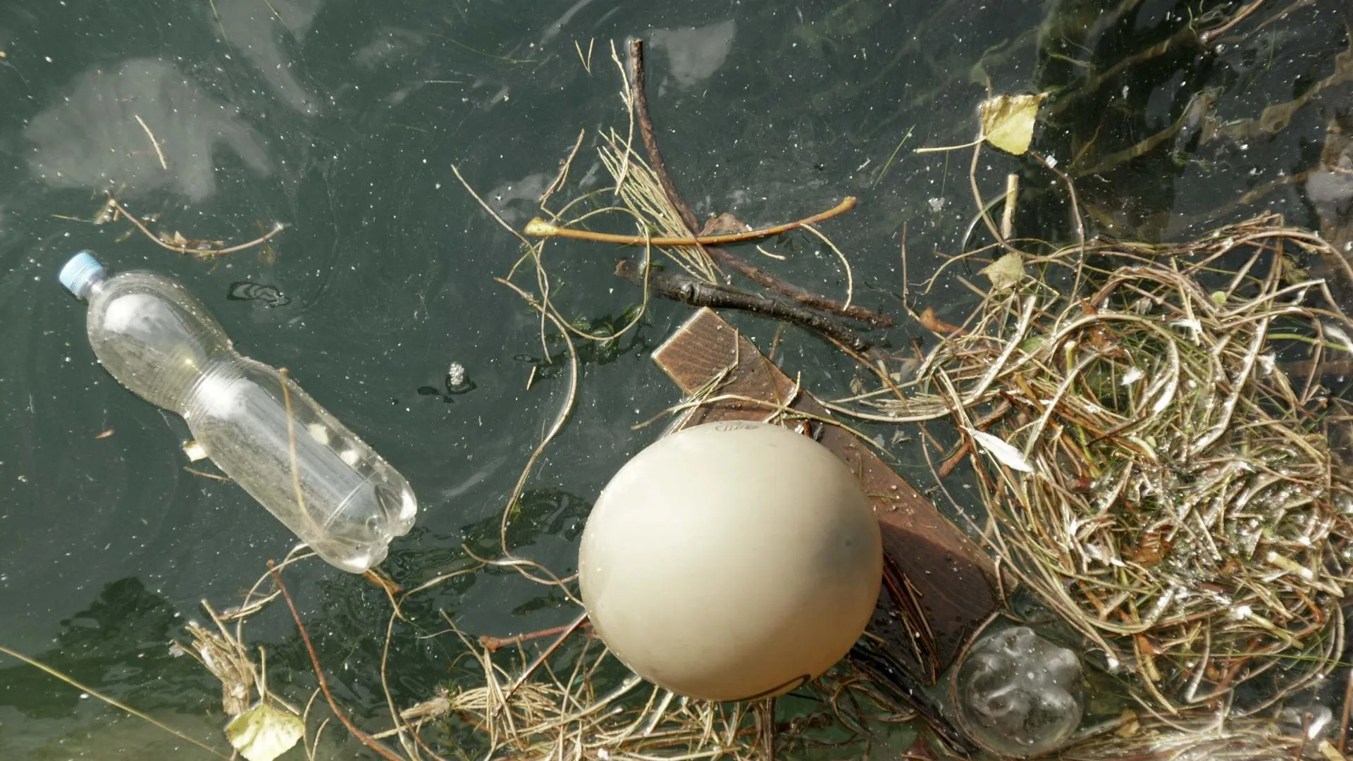 В Красногорске предотвратили возможное загрязнение реки сточными водами